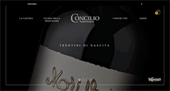 Desktop Screenshot of concilio.it